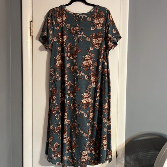 Lularoe Carly - Picture 4 of 4